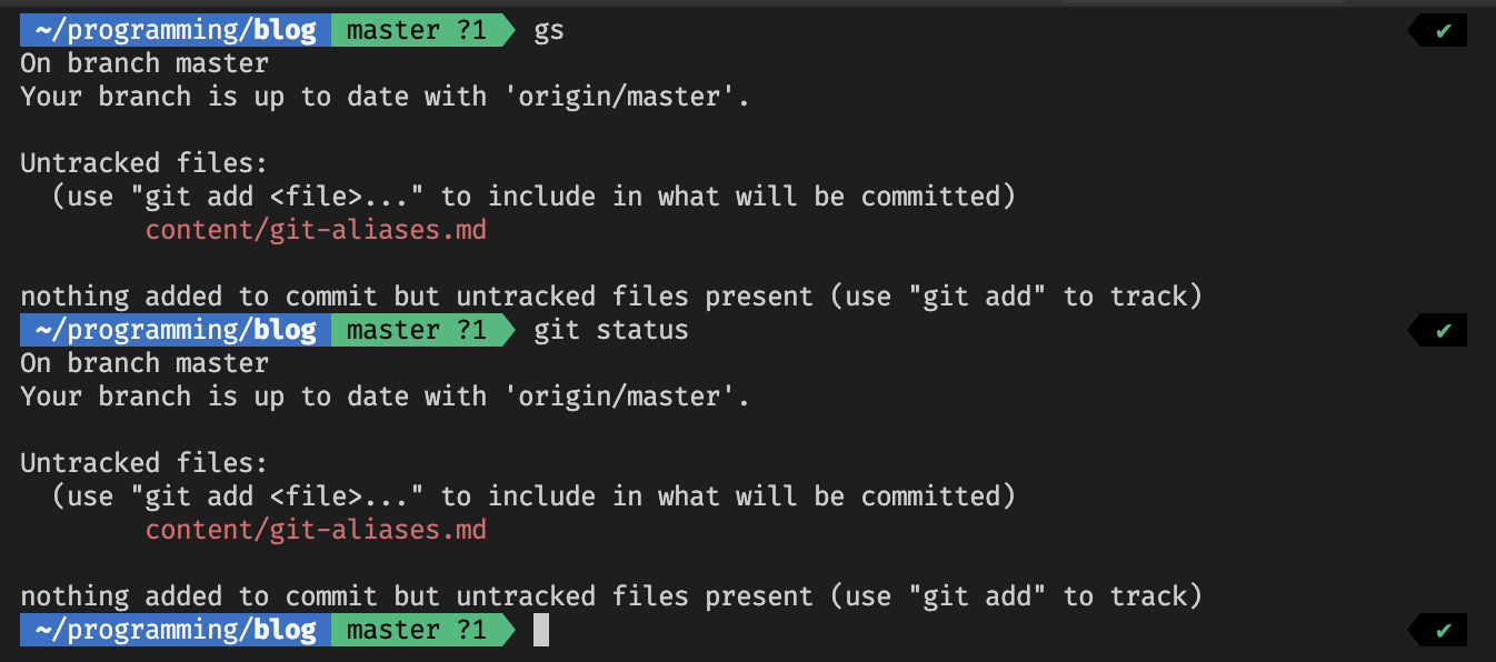 My shell prompt, showing current directory, git status and branch