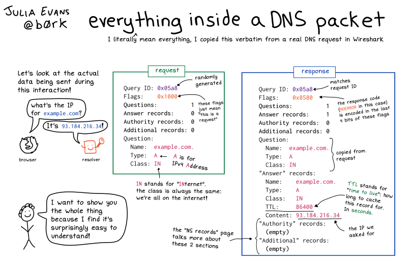 Comic explaining DNS query structure, when serialized for transmission over wire